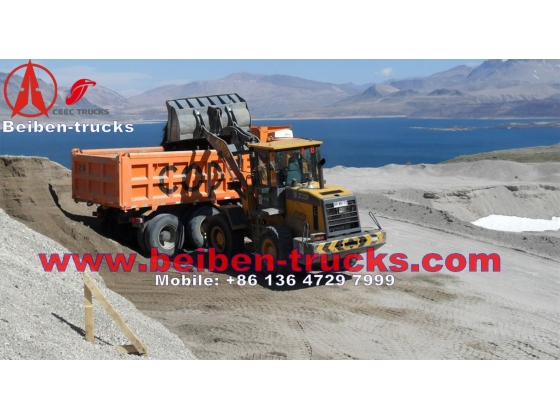 China Beiben power star 25ton lorry truck RHD tipper lorry supplier